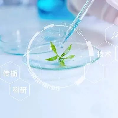 4个品牌探讨：如何打通科研-技术-科学传播的全链路？