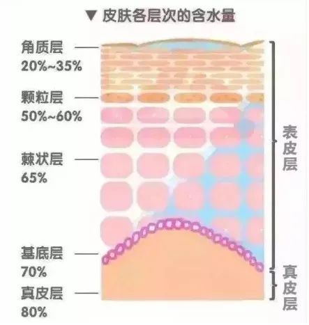 打水光到底应该打在什么层次？你知道吗