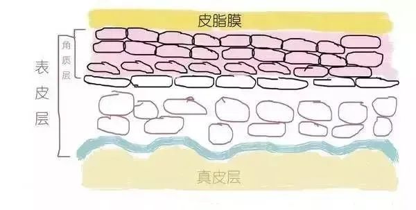 打水光到底应该打在什么层次？你知道吗