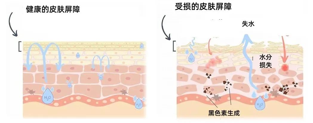 打水光到底应该打在什么层次？你知道吗