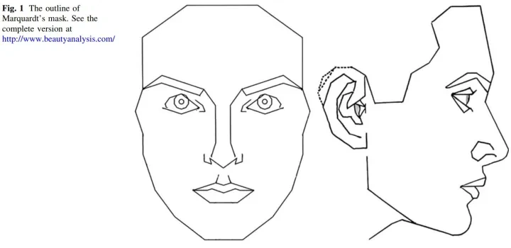 马夸特面具：是“完美面容”，还是吹过了头？