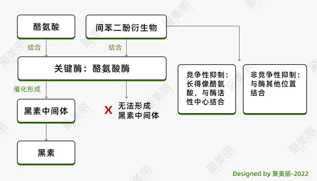 这8个热门美白成分，都有1种相同结构