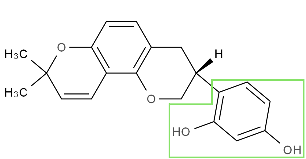 这8个热门美白成分，都有1种相同结构