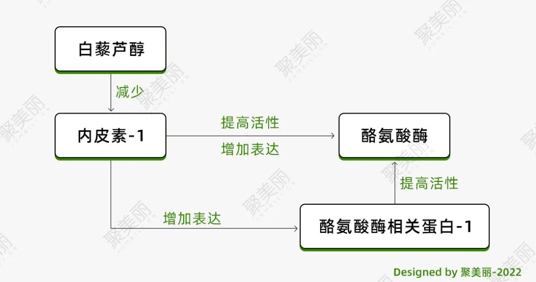 这8个热门美白成分，都有1种相同结构