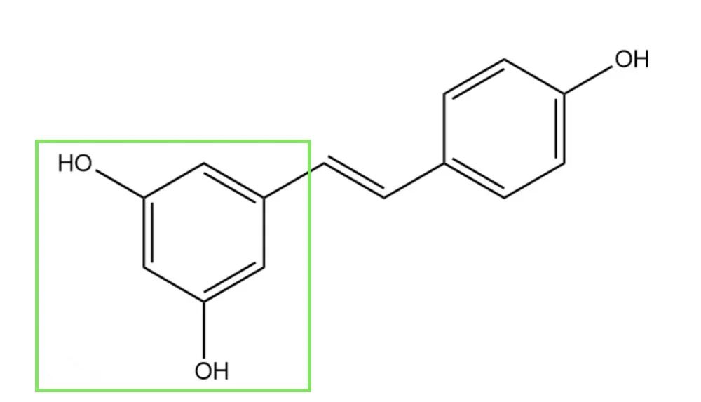 这8个热门美白成分，都有1种相同结构