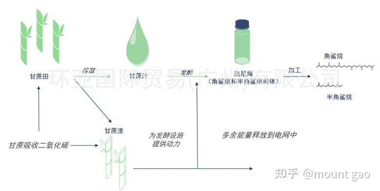 这5个技术风向标，能否重塑化妆品研发竞争格局？丨美妆狠活2023