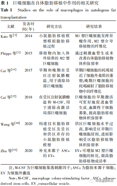 巨噬细胞在自体脂肪移植中作用机制的研究进展