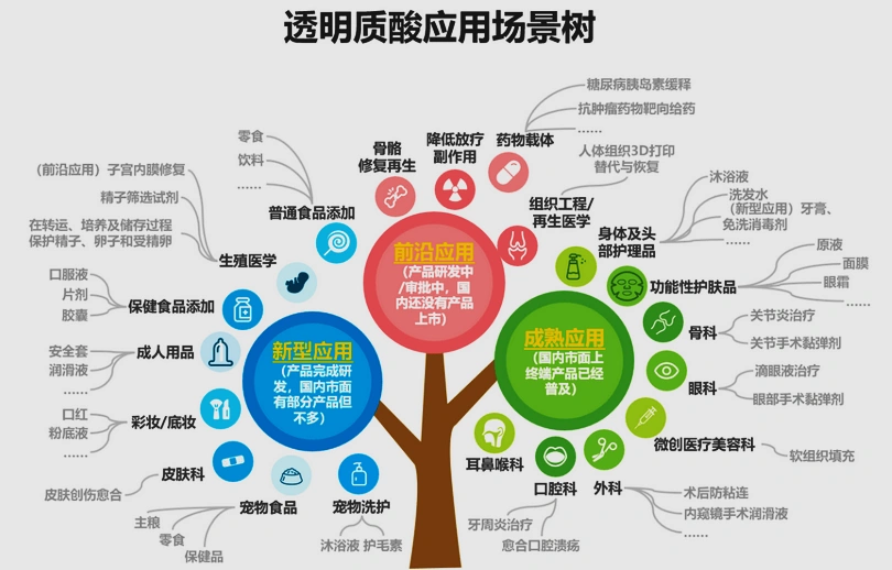 玻尿酸进化简史：原料产业化的中国样本