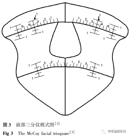 人眼形态变异研究概述