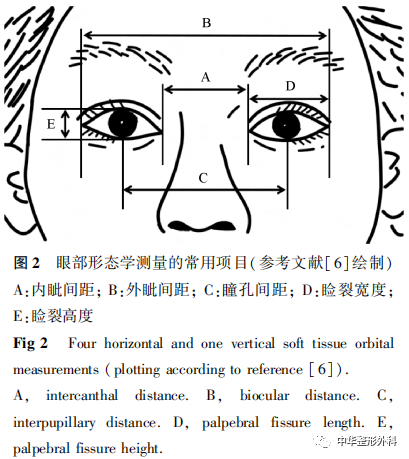 人眼形态变异研究概述