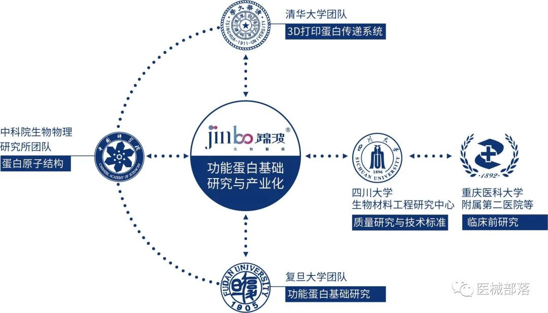 医美 | 锦波生物："重组胶原蛋白"卖了3.34亿，业绩同比增长104.98%