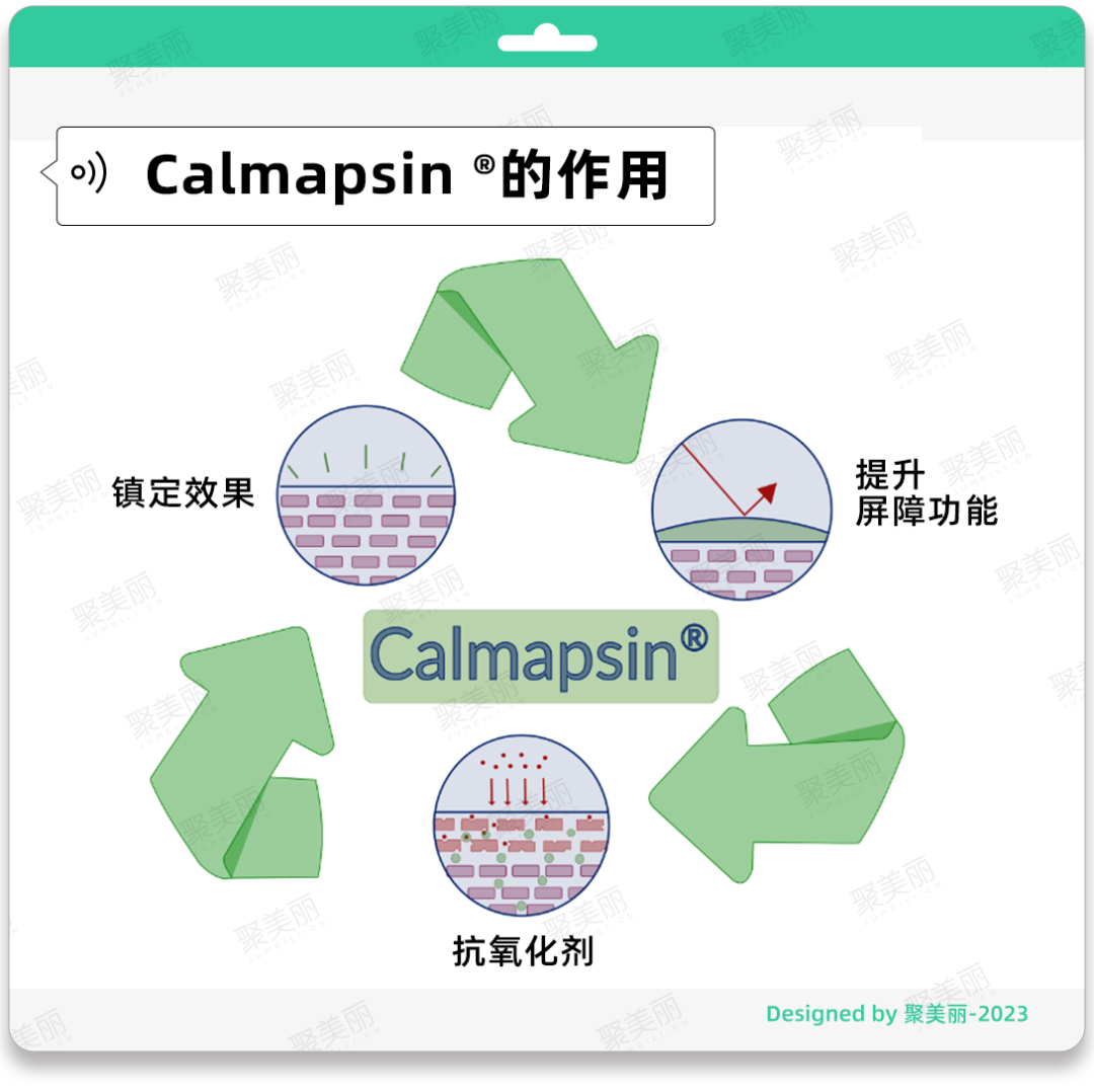 冷门却有趣，这几个新的活性成分有何亮点？