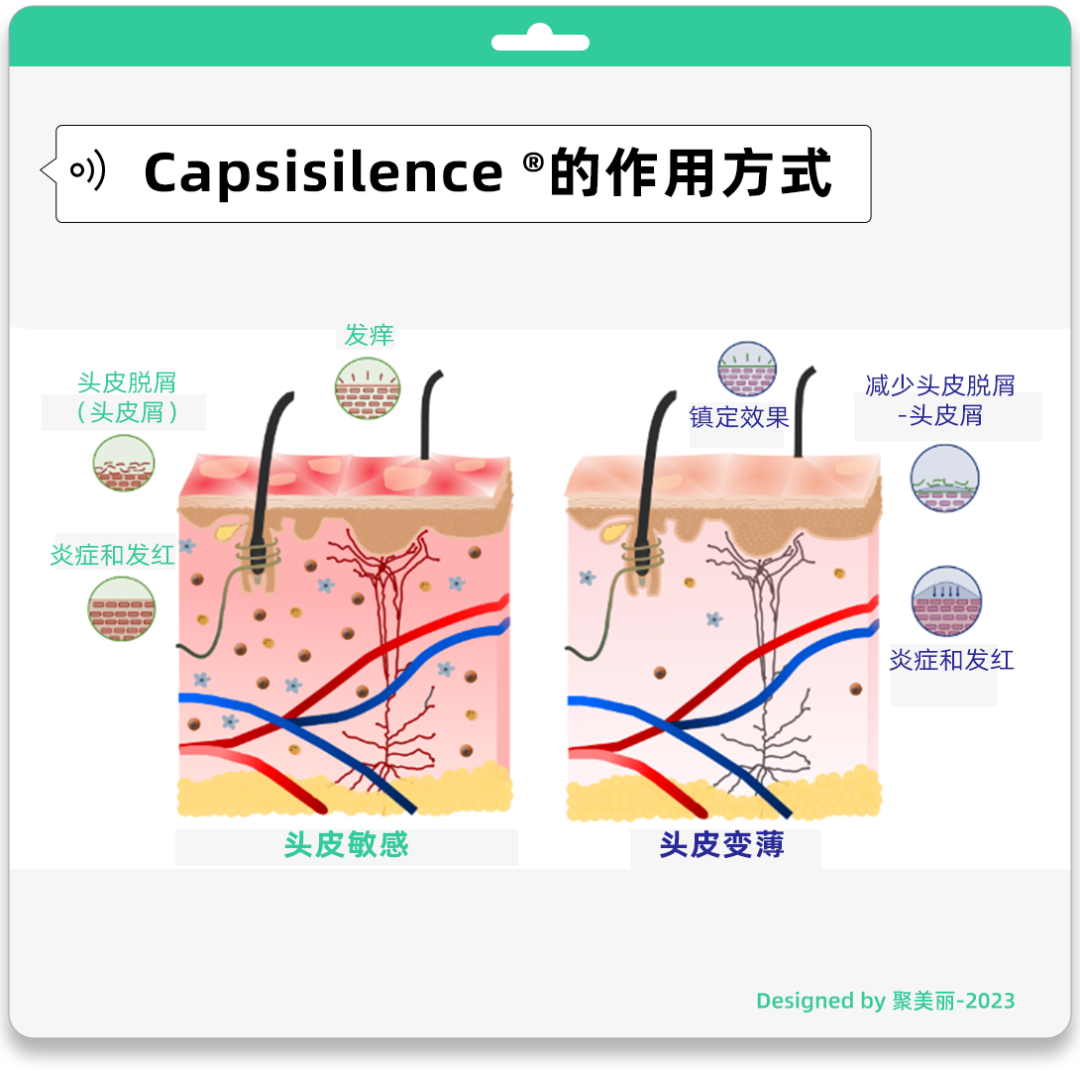 冷门却有趣，这几个新的活性成分有何亮点？