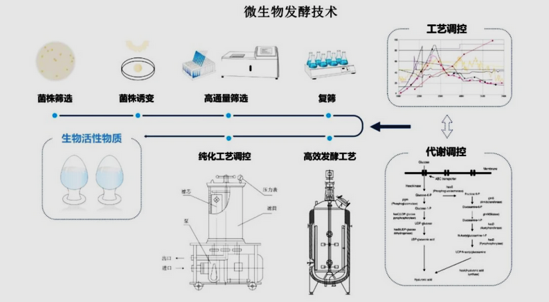 化妆品原料提取四大主流技术，谁将主导未来？