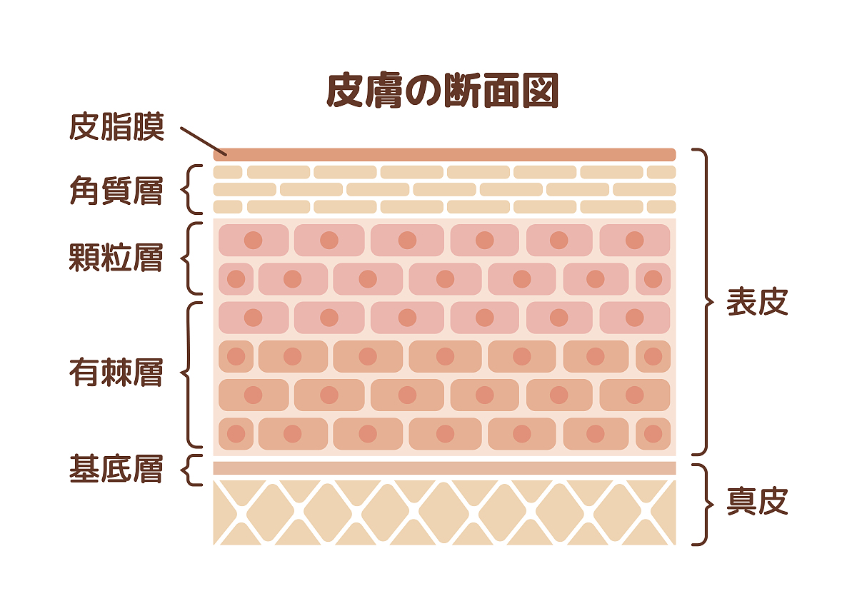 采美科普：瑞漾动能液在美塑疗法中的运用