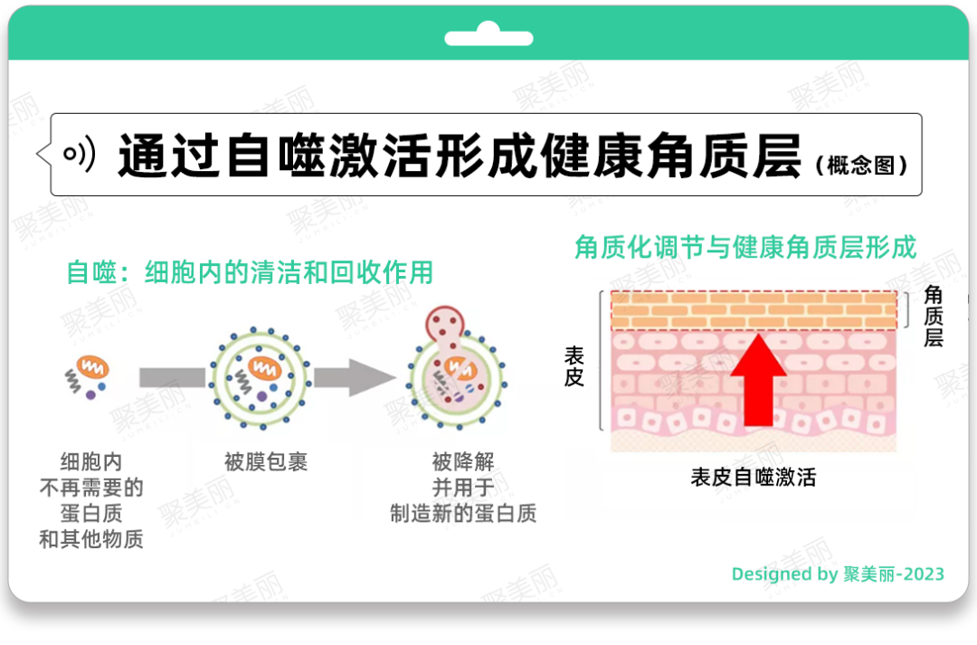 花王、巴斯夫的最新发现，这些成分被市场低估？