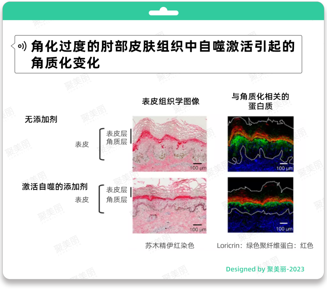 花王、巴斯夫的最新发现，这些成分被市场低估？