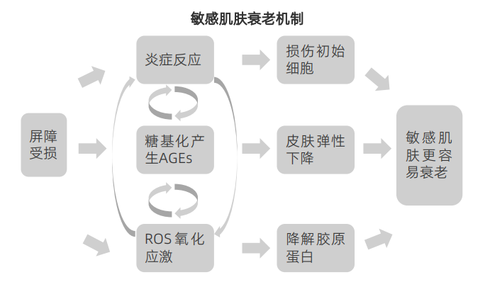 行业洞察 | 2023中国敏感肌肤抗老趋势