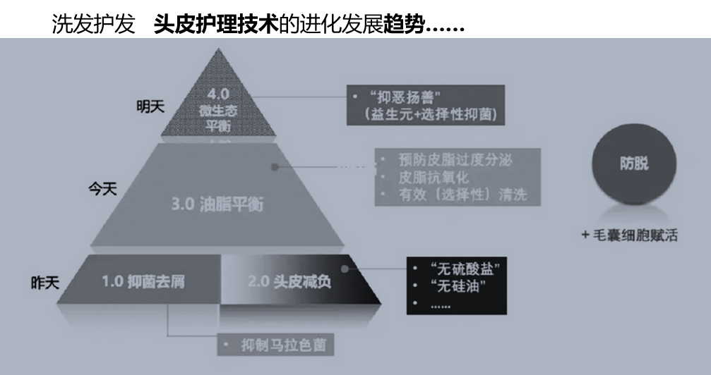 头皮健康洗护进入4.0时代！