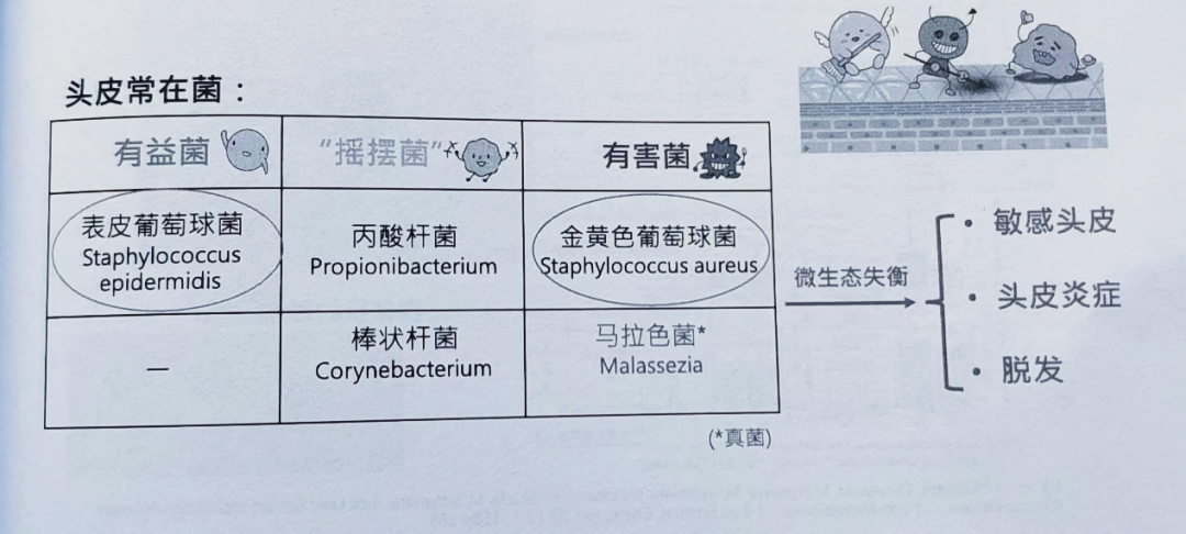 头皮健康洗护进入4.0时代！