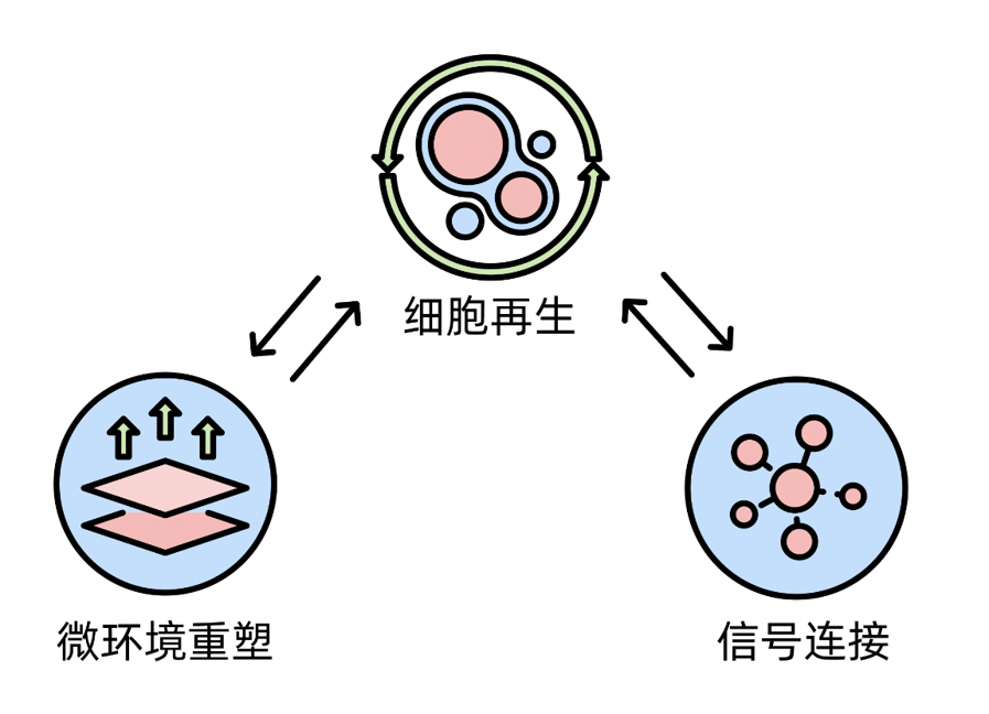 轻医美仍处于红利之中！如何联袂创新把握风口？