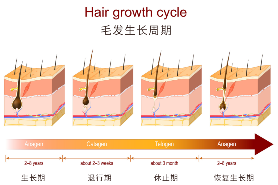 美业课堂第39期| 从头开始，告别焦虑！