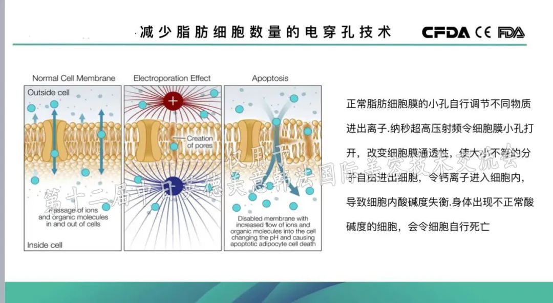 那些价格不菲说涂涂抹抹就能减掉脂肪的产品，是不是收割智商税？