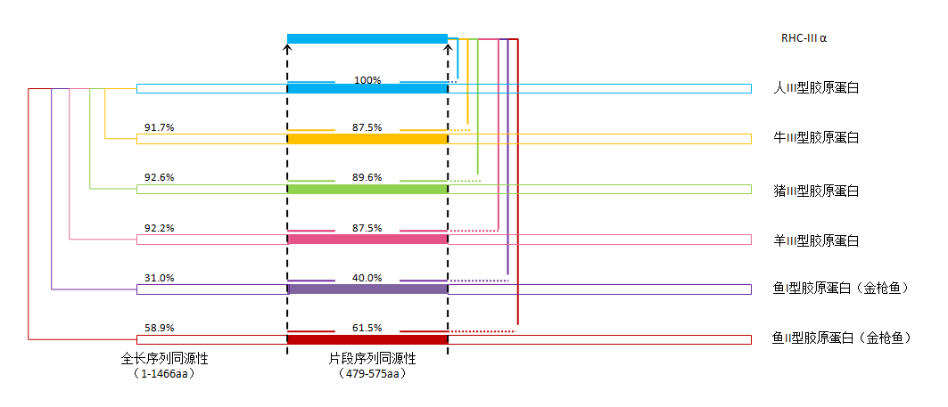 采美新品 ：欢迎水禾雅®重组Ⅲ型人源化胶原蛋白修复贴敷料（械Ⅱ）上线！