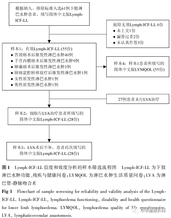 简体中文版下肢淋巴水肿功能、残疾与健康问卷的信度和效度分析