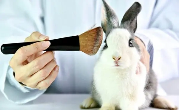 又一个国家正式禁止化妆品动物实验！