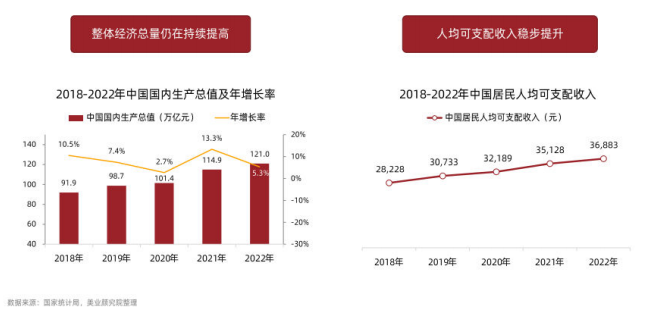 2023年美容行业报告:复杂市场环境下的前进之路