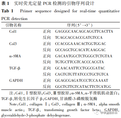 脂肪干细胞来源的外泌体对局限性硬皮病成纤维细胞生物学功能的影响