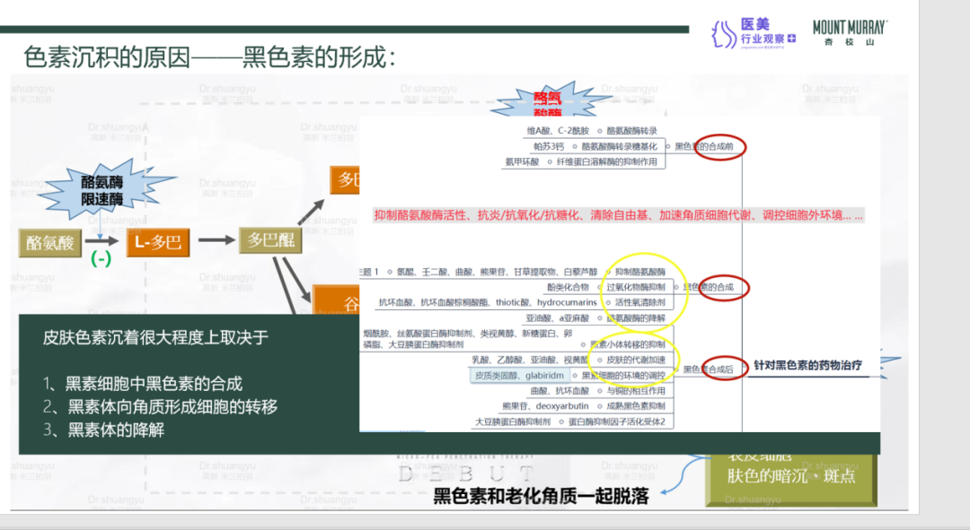 杏枝山特邀讲师陈双瑜：微羽渗透疗法在黄褐斑治疗中的创新意义