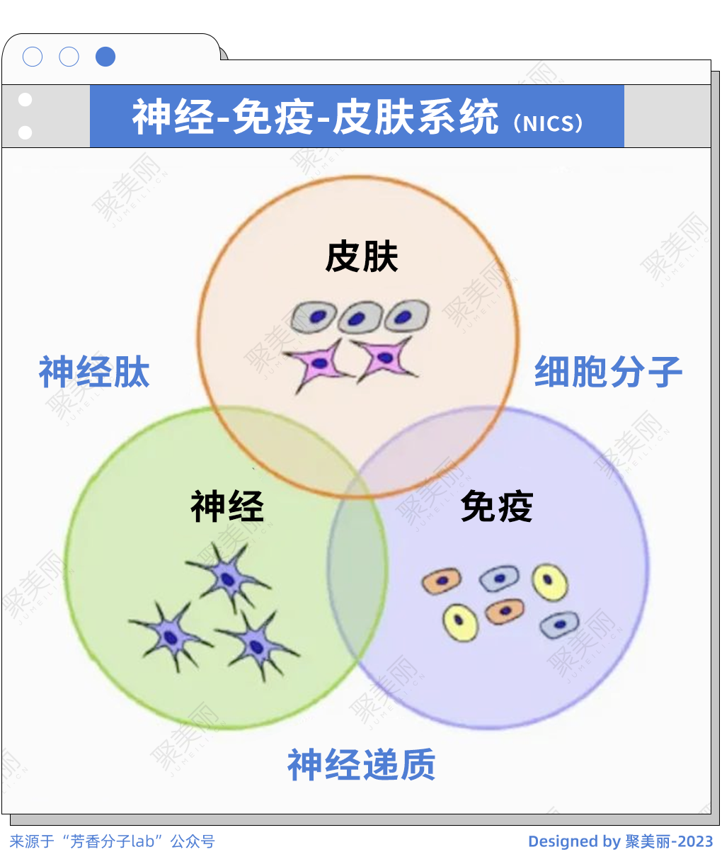 “夭折”的芳疗护肤市场，这类成分能否破局？