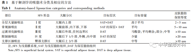 关于皮下脂肪组织浅筋膜系统解剖的系列研究