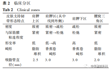 关于皮下脂肪组织浅筋膜系统解剖的系列研究