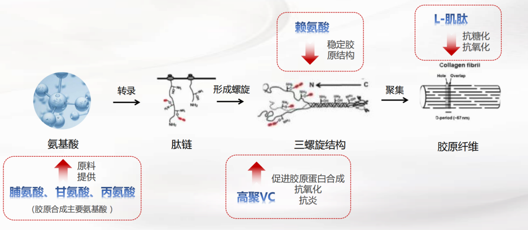 水光如此多？它为何能崛起！再生型抗衰水光揭秘！