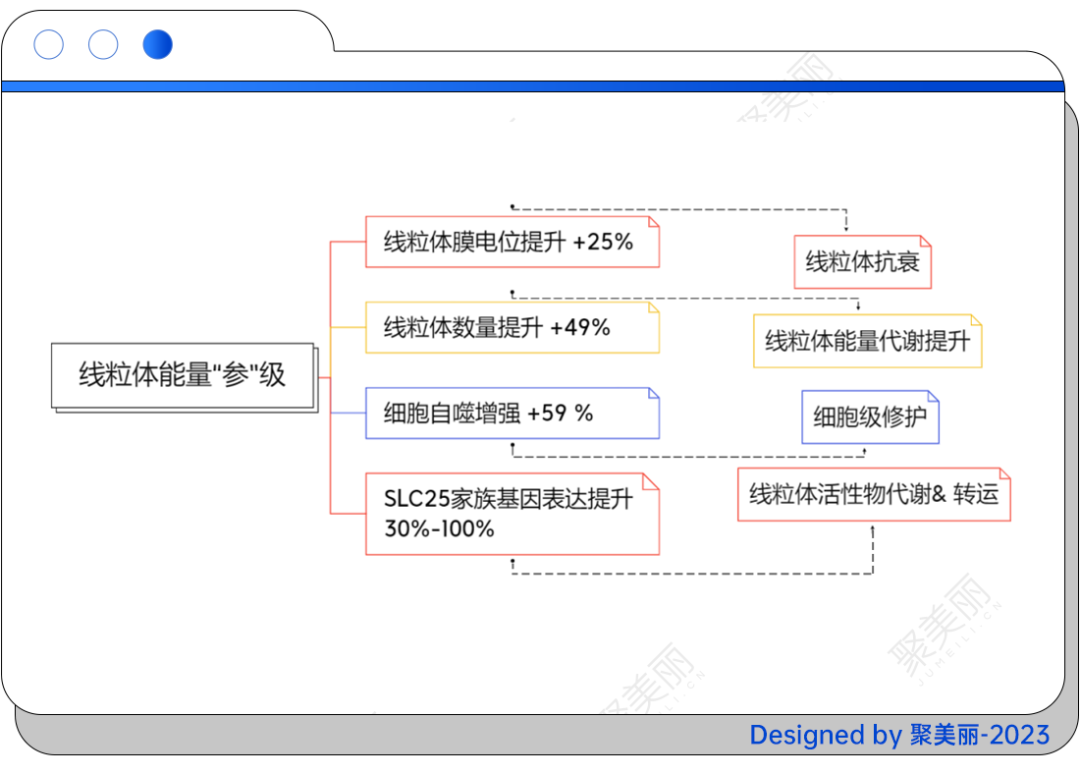 聚焦IFSCC学术秀场，这些科研成果含金量几何？