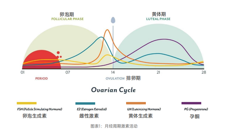 趋势报告 |《女性特殊时期：依据激素变化精细护理》