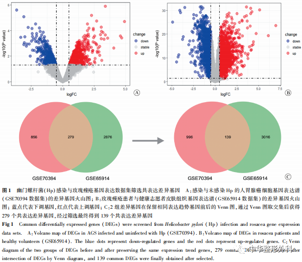 幽门螺杆菌感染与玫瑰痤疮共表达差异基因及相关信号通路的生物信息学探索
