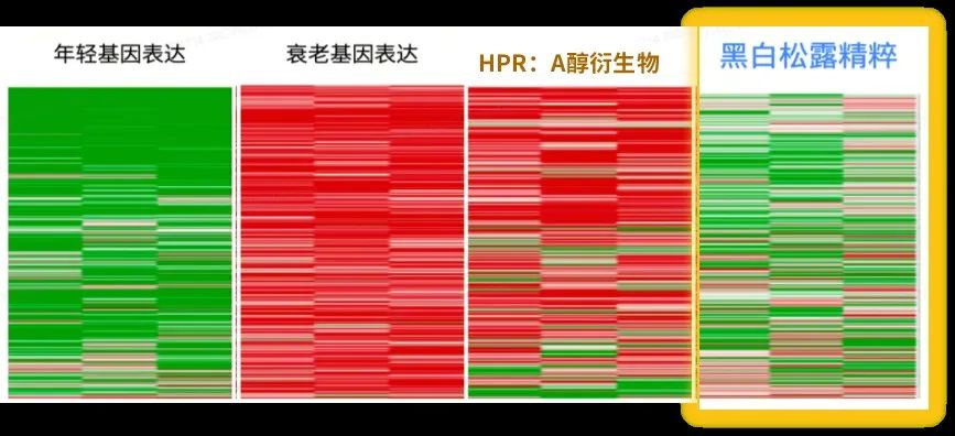 25岁陷入年龄焦虑？PMPM搭模型“求解”