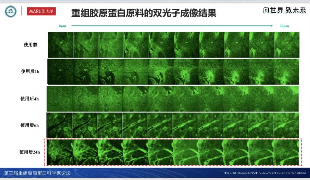 丸美生物，又拓展了新版图