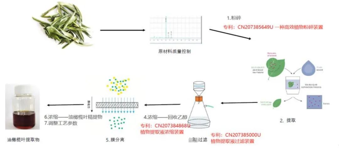 专研8年，一叶子制定国内首份油橄榄叶提取物进团标