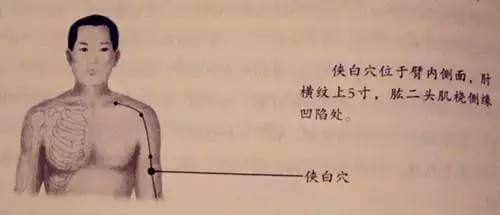 人体53个穴位功效按摩方法，实用！