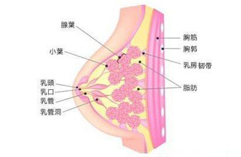 年龄增长后，如何做“坚挺”女人？