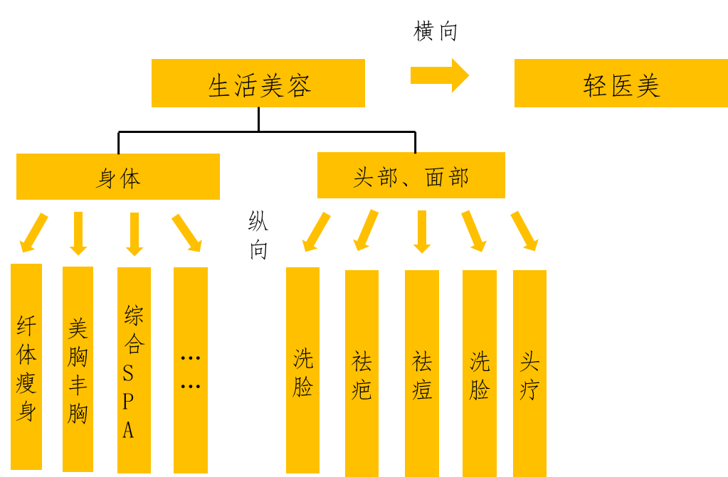 【聚焦热点】协会联合美团丽人、美团研究院共同发布《2023年美容美体行业发展报告》